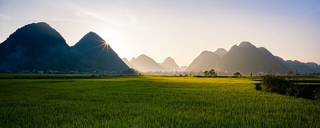 Refocus, Rehabilitate, and Re-Appreciate