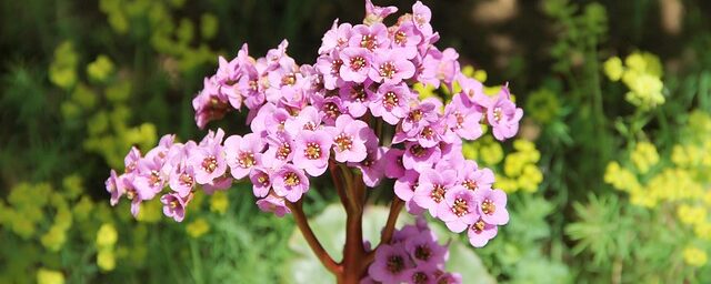 Crushes, Favorite People, and Love